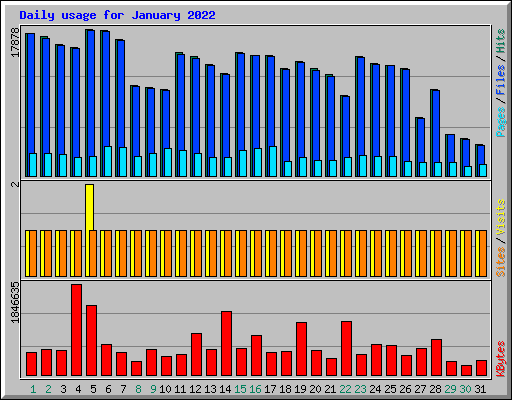 Daily usage for January 2022