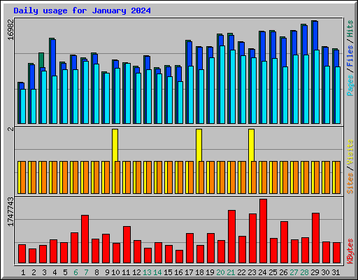 Daily usage for January 2024