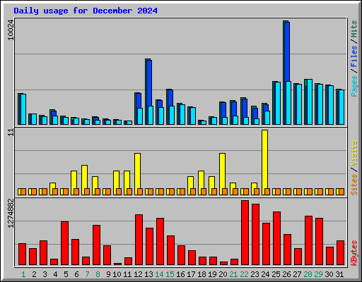 Daily usage for December 2024