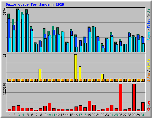 Daily usage for January 2026