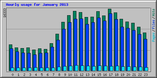 Hourly usage for January 2013