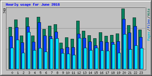 Hourly usage for June 2016