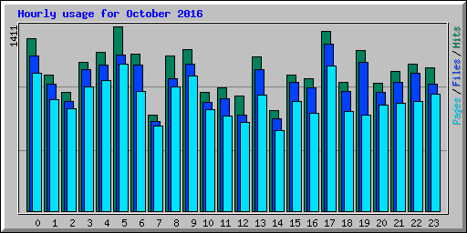 Hourly usage for October 2016