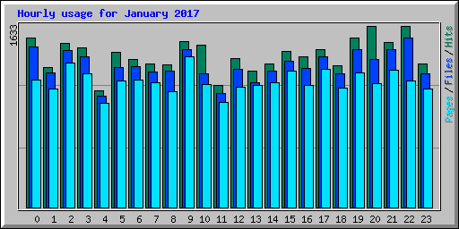 Hourly usage for January 2017