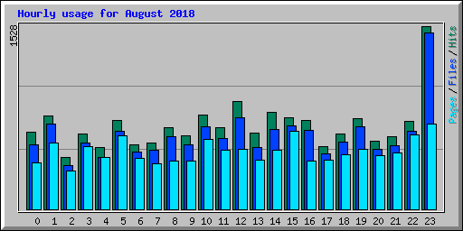 Hourly usage for August 2018