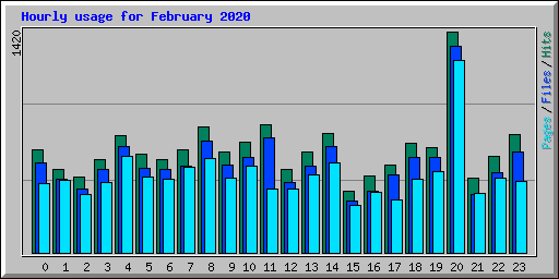Hourly usage for February 2020