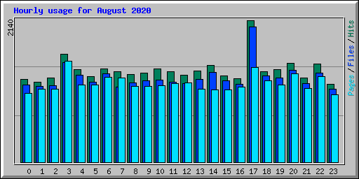 Hourly usage for August 2020