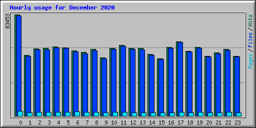 Hourly usage for December 2020