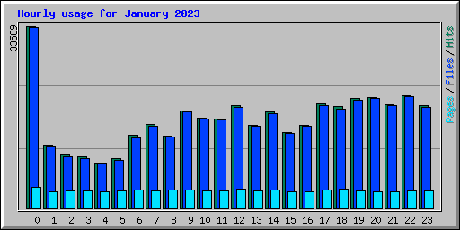 Hourly usage for January 2023
