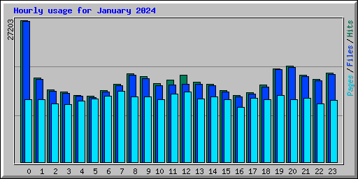 Hourly usage for January 2024
