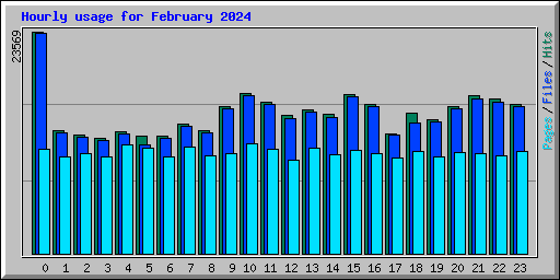 Hourly usage for February 2024