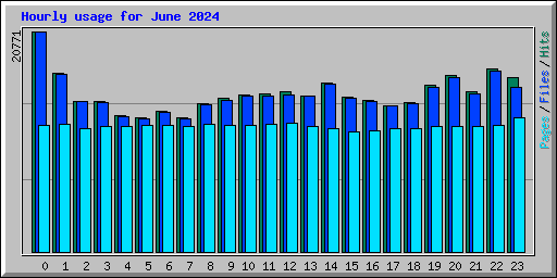 Hourly usage for June 2024