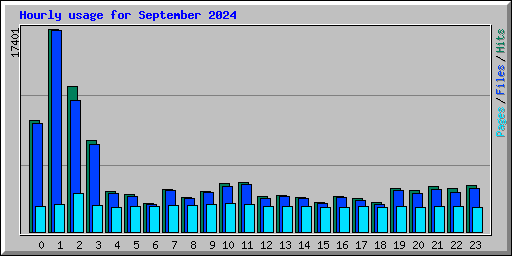 Hourly usage for September 2024