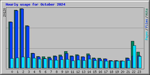 Hourly usage for October 2024