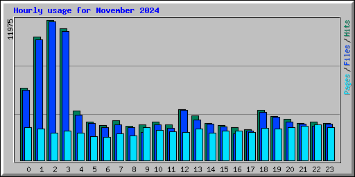Hourly usage for November 2024