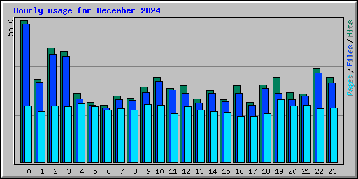 Hourly usage for December 2024