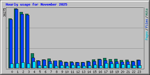 Hourly usage for November 2025