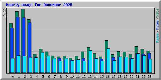 Hourly usage for December 2025