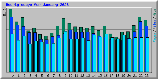 Hourly usage for January 2026