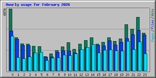 Hourly usage for February 2026