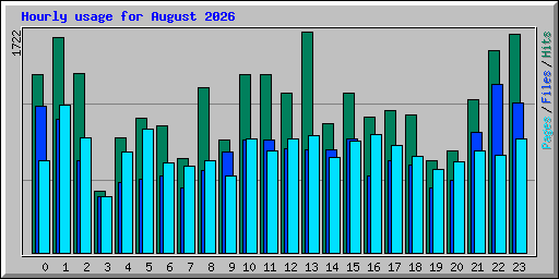 Hourly usage for August 2026